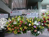 201302233.jpg