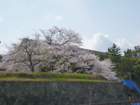 201303240.jpg